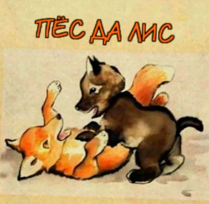 ЖИВОТНЫЕ - ПЁС да ЛИС — канал в мессенджере MAX