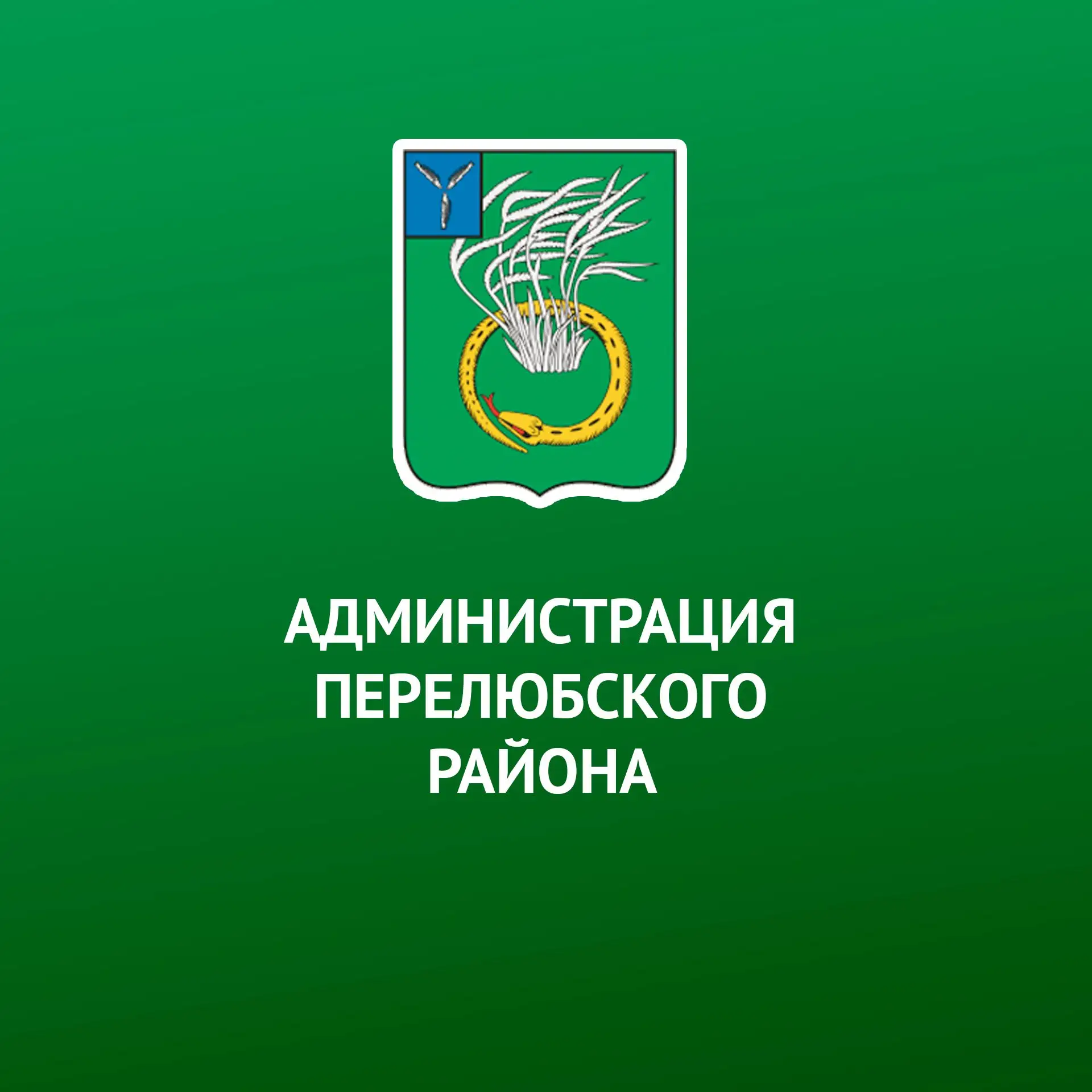 Администрация Перелюбского района — канал в мессенджере MAX