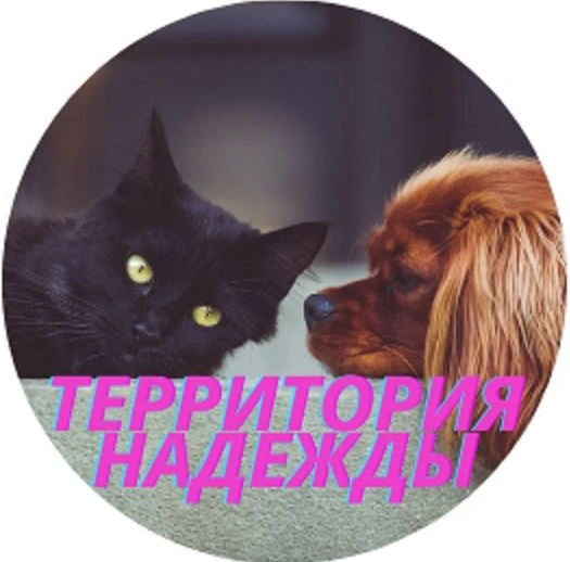 Кот и Пёс - Территория Надежды — канал в мессенджере MAX