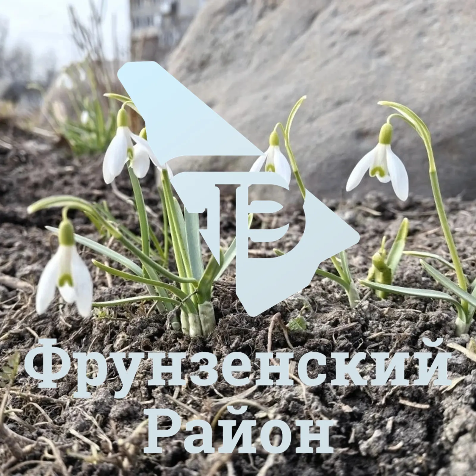 Фрунзенский район Санкт-Петербурга