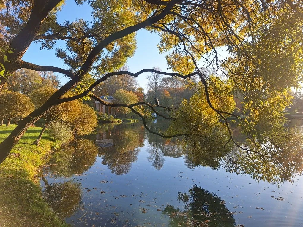 СПб ГКУ "Парк "Екатерингоф"