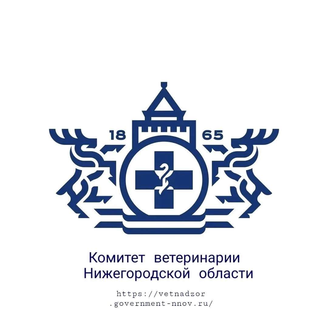Комитет ветеринарии Нижегородской области — канал в мессенджере MAX