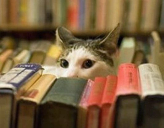 Книги по истории и не только — канал в мессенджере MAX