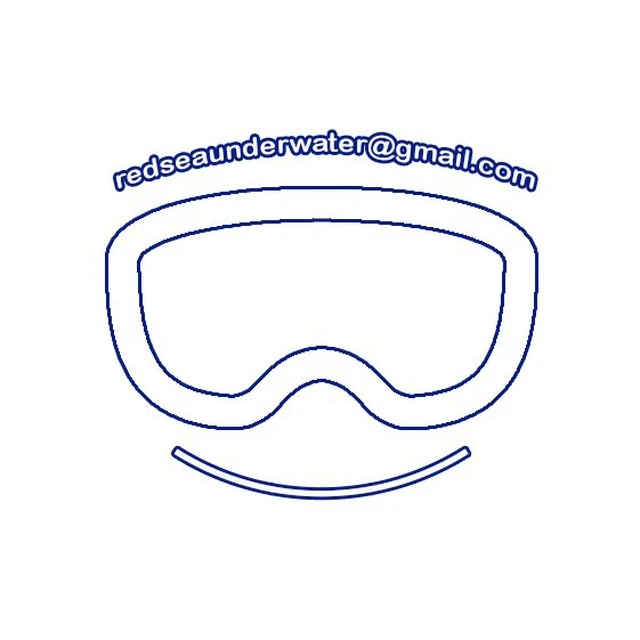 Подводный мир Красного моря