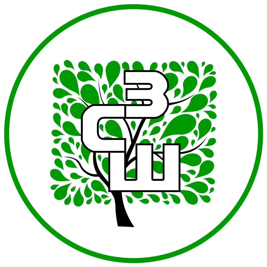 МБОУ «Заостровская СШ»