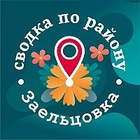 Сводка по району. Заельцовка — канал в мессенджере MAX