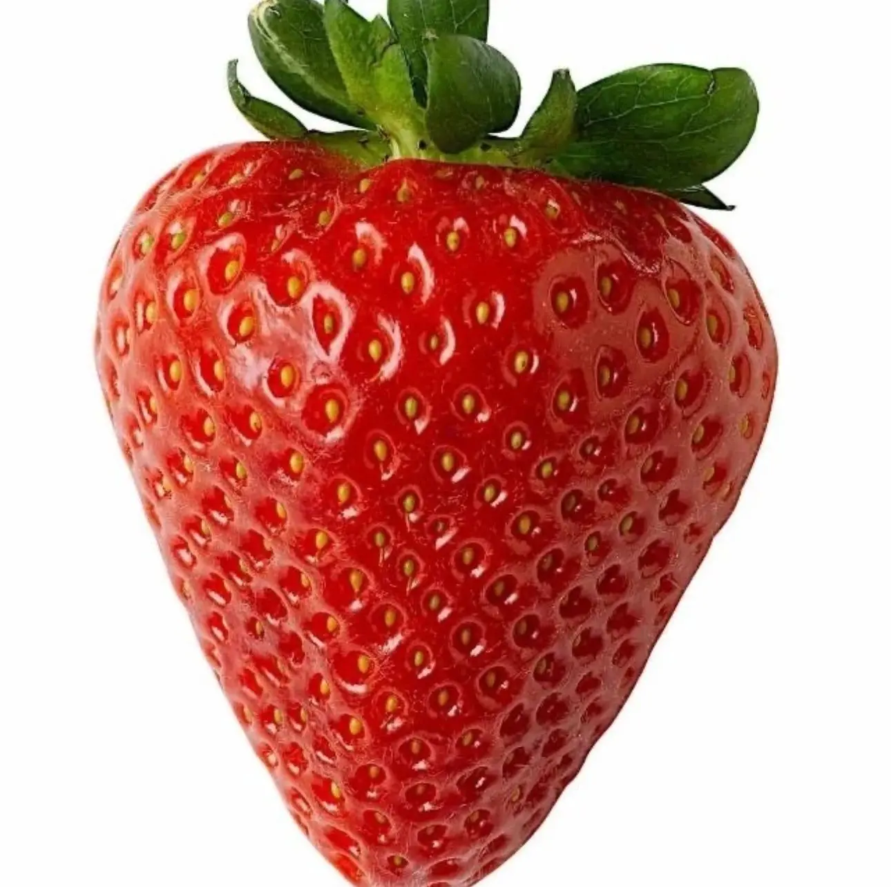 🍓🍓🍓НАТУРАЛЬНЫЕ ДЕРЕВЕНСКИЕ ПРОДУКТЫ В НОРИЛЬСКЕ — канал в мессенджере MAX