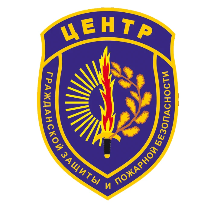 Амурские спасатели (Амурский центр ГЗ и ПБ) — канал в мессенджере MAX