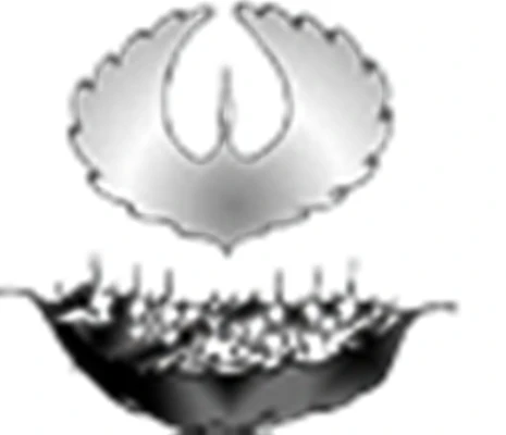 МУДО "Волжский экологический центр"