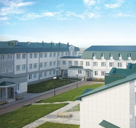 ГАУЗ "Черемшанская ЦРБ"