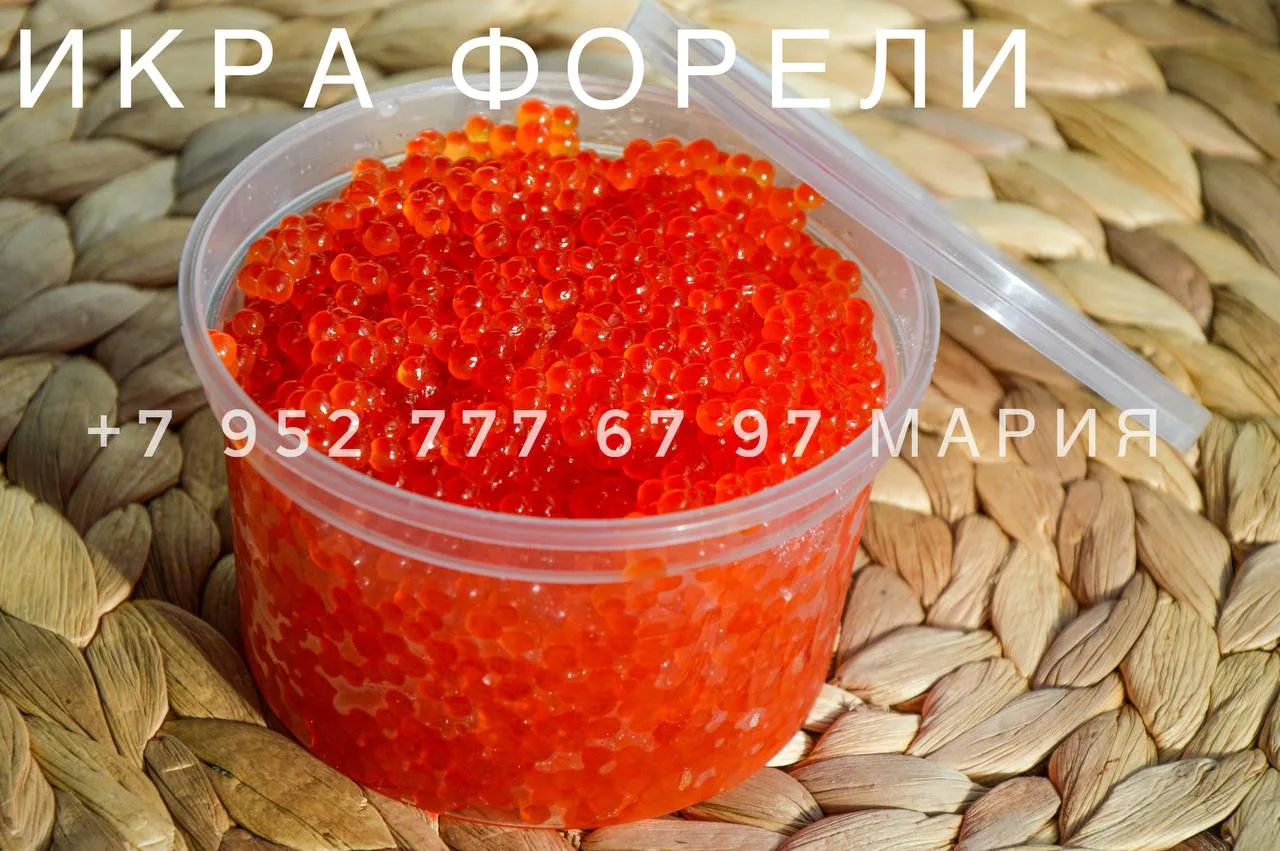 Мурмурчан — канал в мессенджере MAX