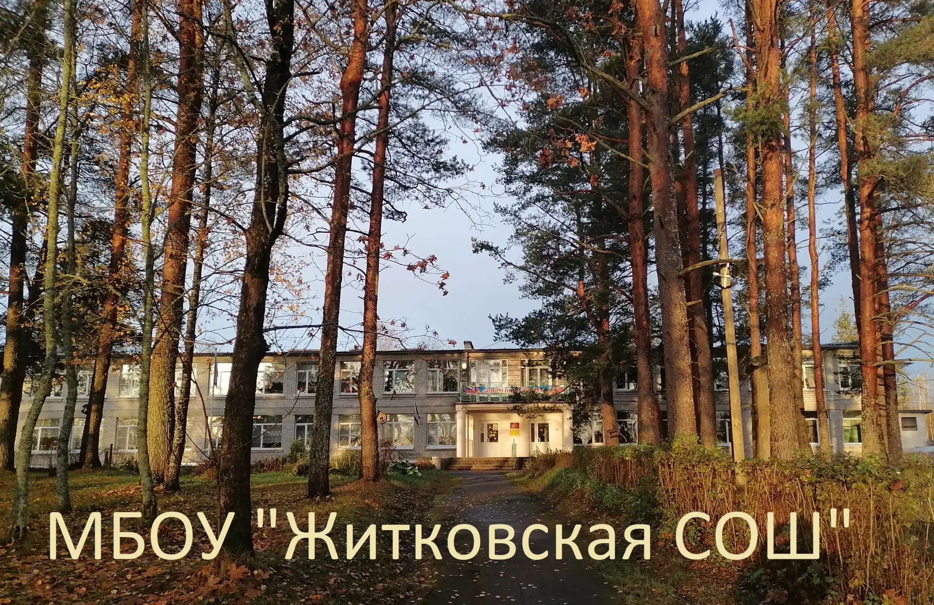 МБОУ "Житковская СОШ"