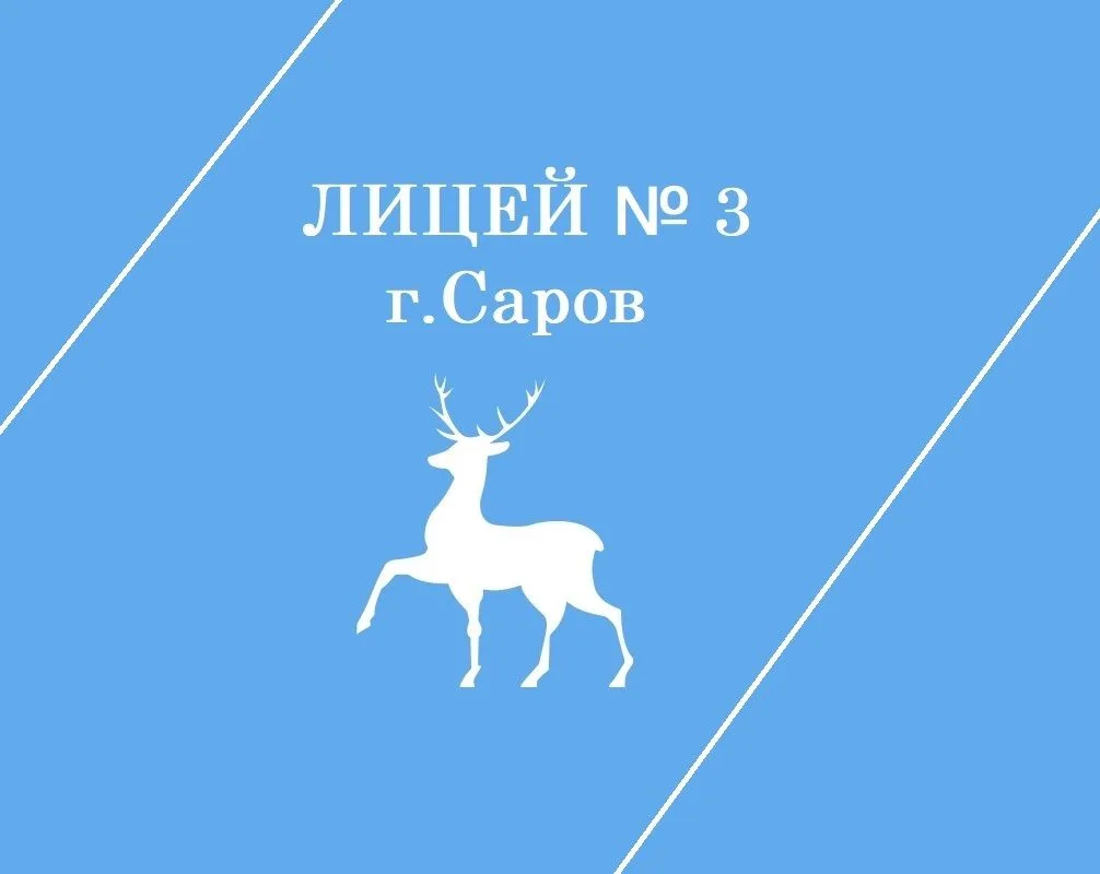 Лицей № 3 города Сарова