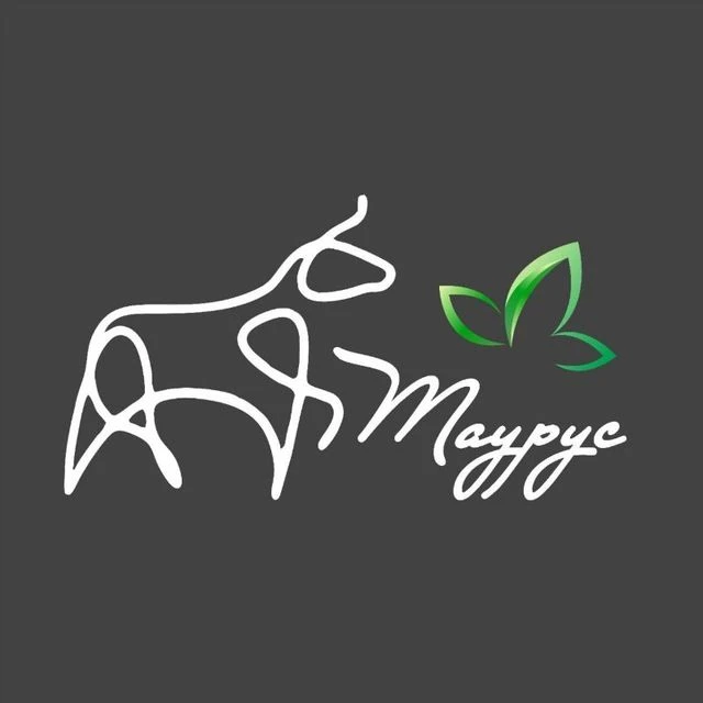 ТАУРУС — канал в мессенджере MAX