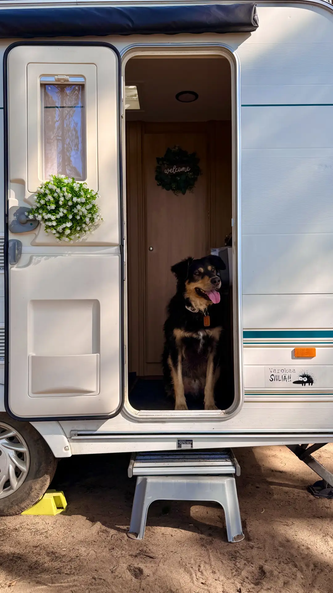 За нами Хвост! 🚐
