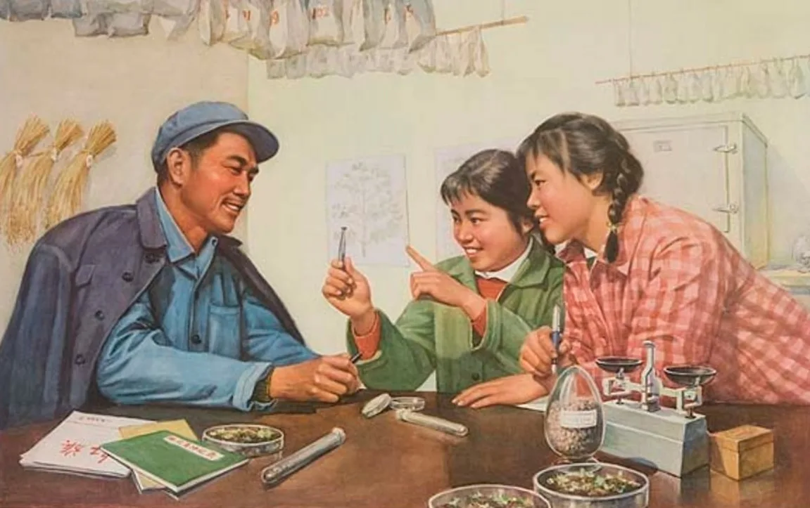 Китайские зарисовки