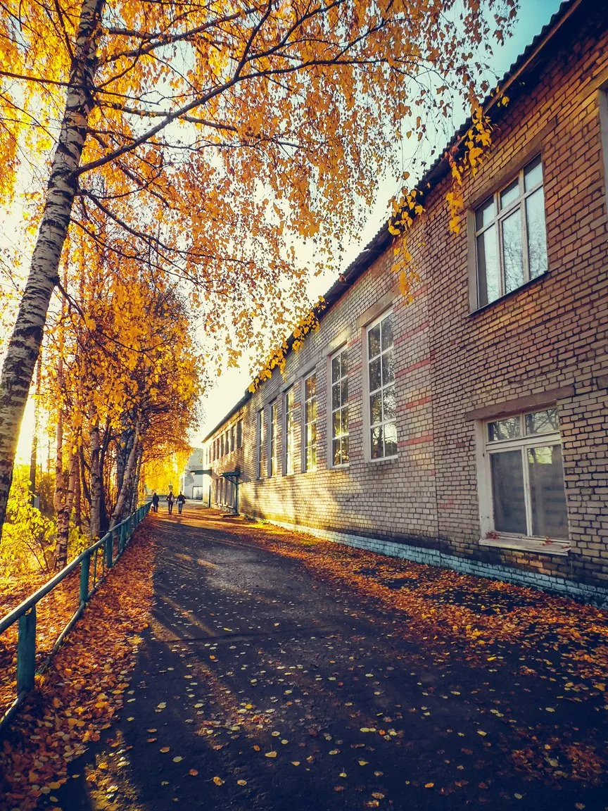 Березниковский индустриальный техникум