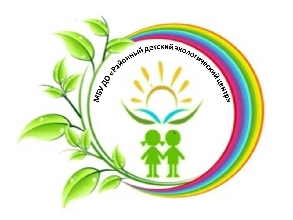 МБУ ДО РДЭЦ ПМО
