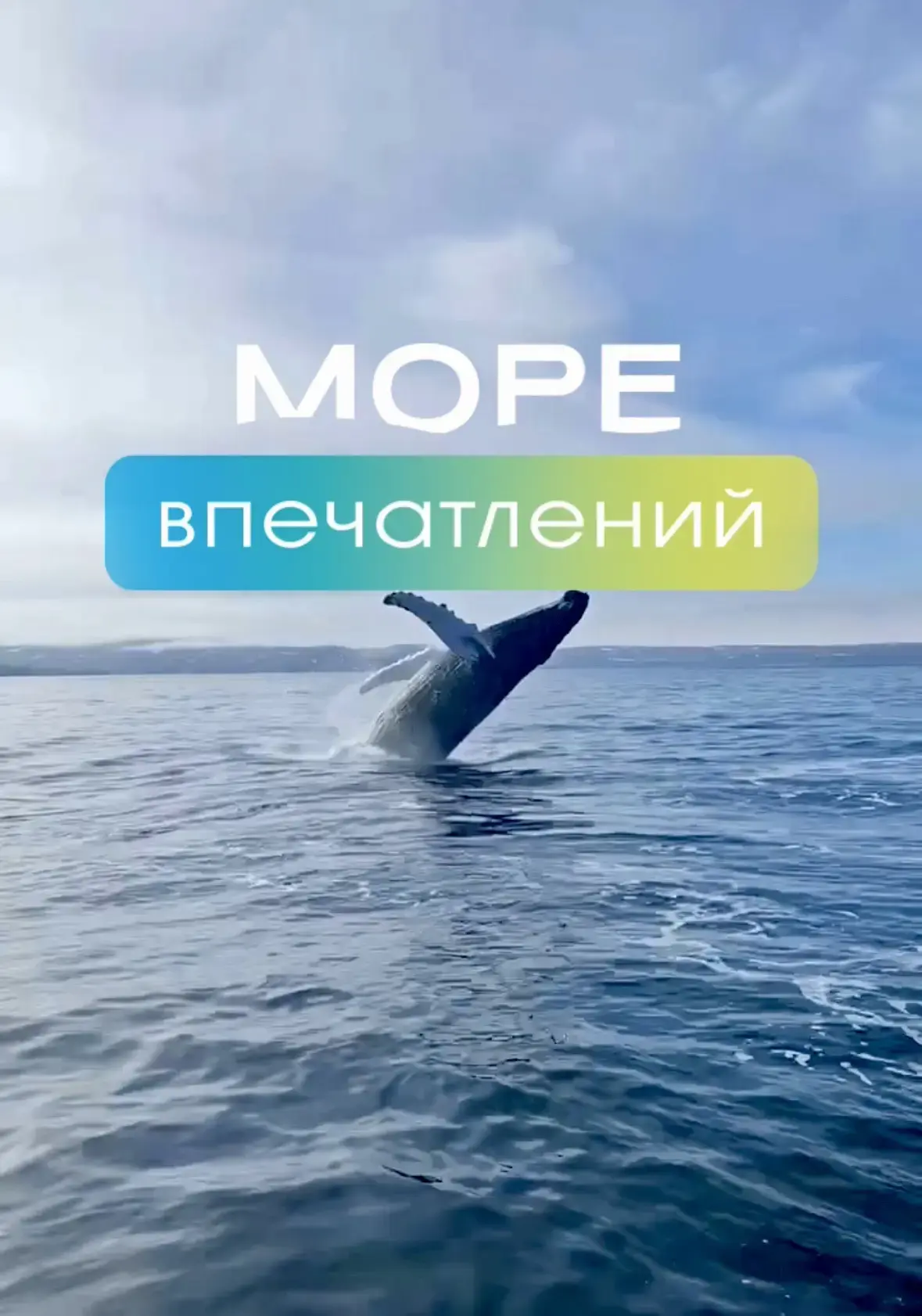 Море Впечатлений. Териберка. Киты. — канал в мессенджере MAX
