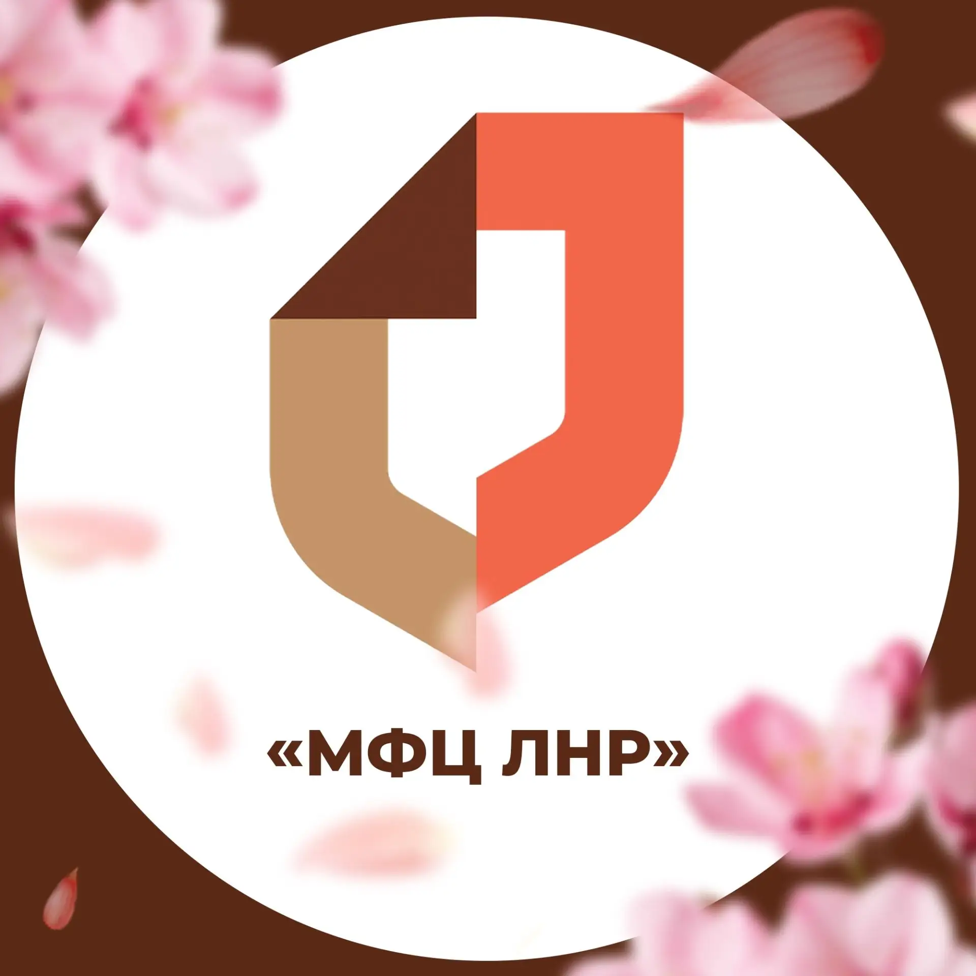 МФЦ ЛНР