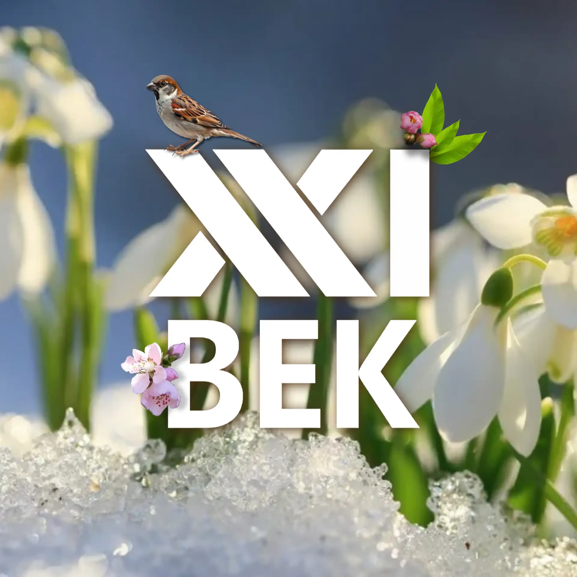 Логотип канала