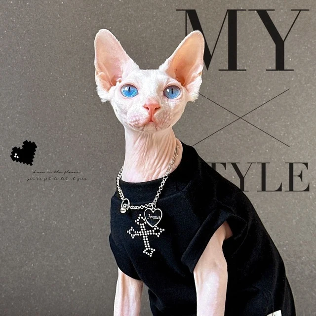 СФИНКС 🐈‍⬛ КЛУБ — канал в мессенджере MAX