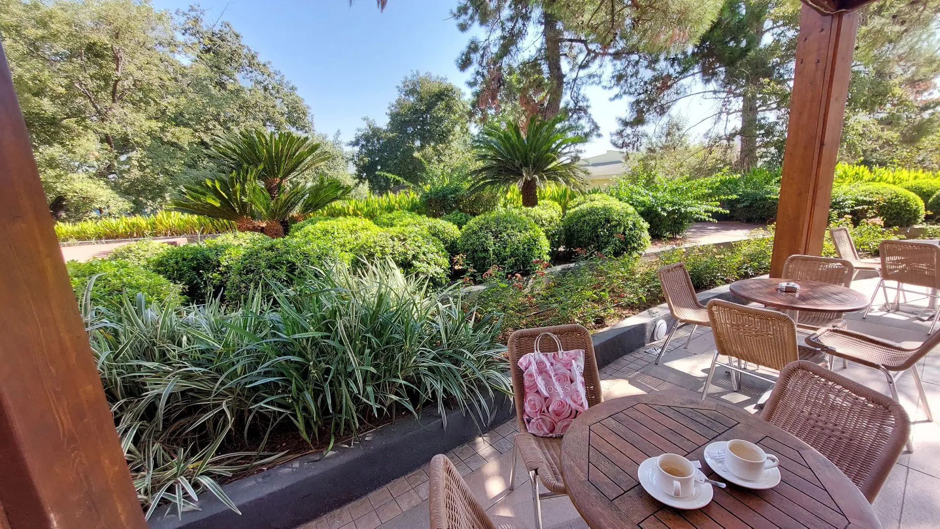 Вера Ларина