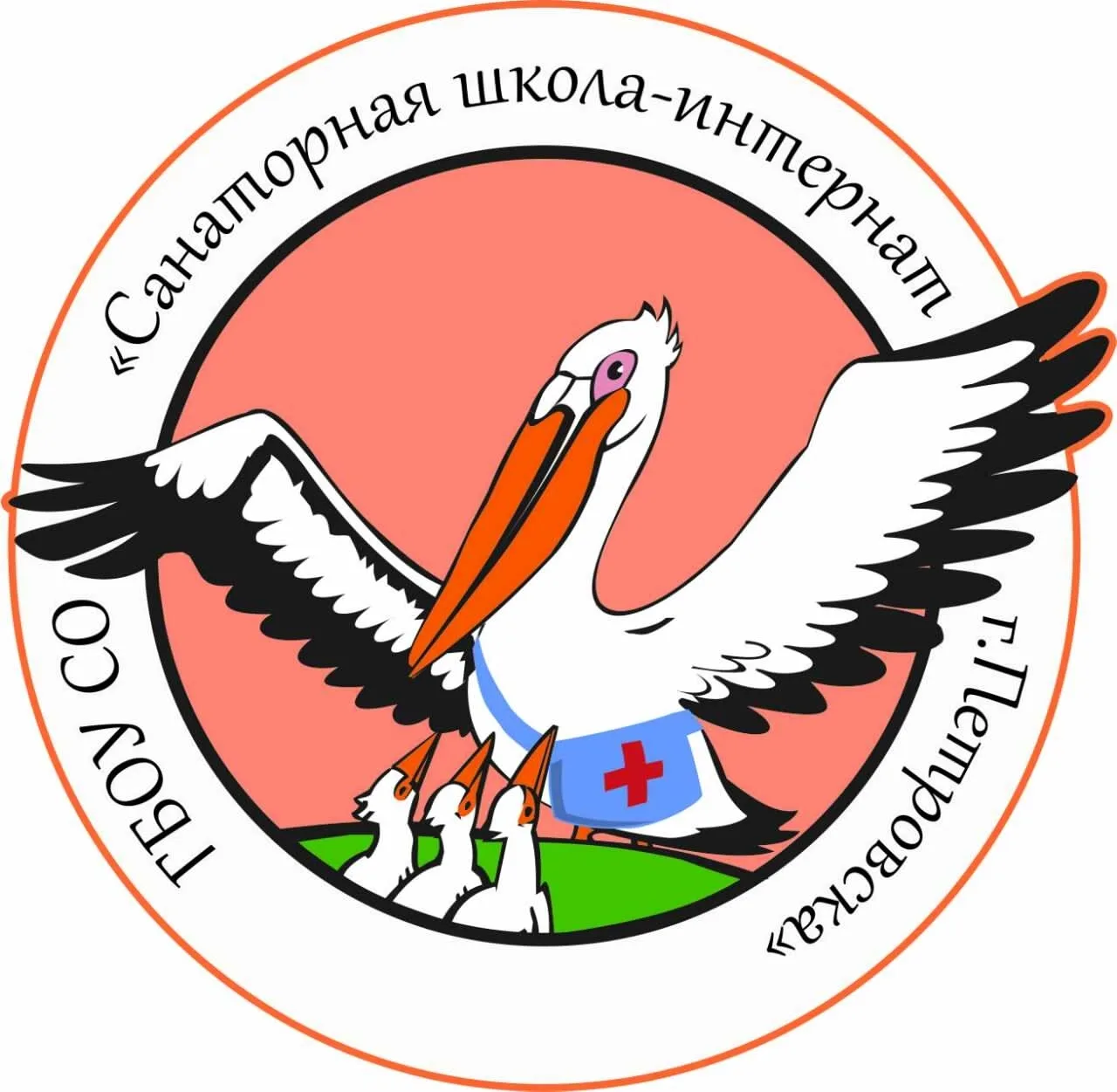 ГБОУ СО "Санаторная школа-интернат г.Петровска"