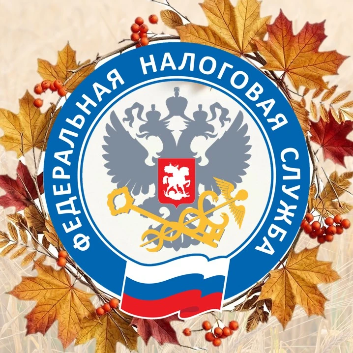 Всё о налогах в ДНР | УФНС России по Донецкой Народной Республике — канал в мессенджере MAX