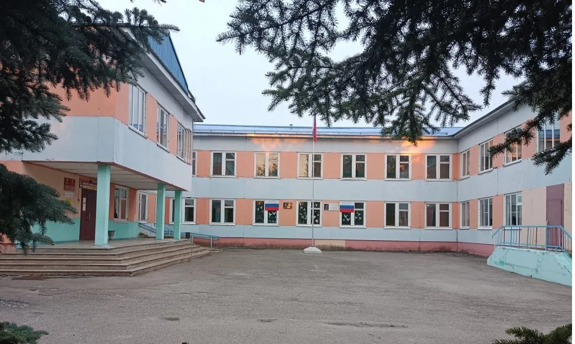 МАОУ "Большевыльская СОШ им. братьев Семеновых"