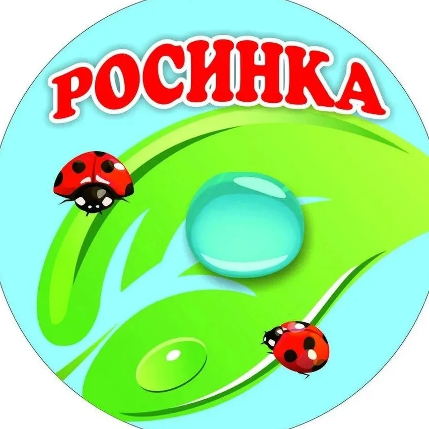 МДОУ "Детский сад комбинированного вида №221 "Росинка"