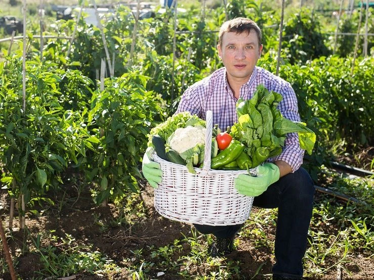 Логотип канала