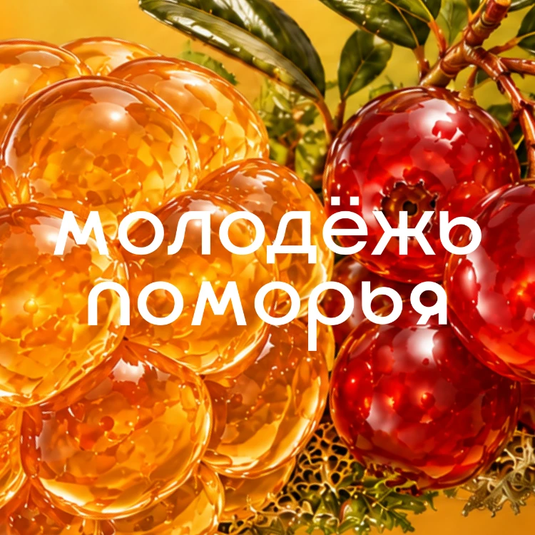 Агентство по делам молодежи Архангельской области — канал в мессенджере MAX