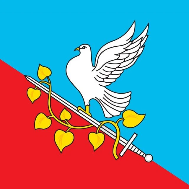 МОУ СОШ №1 р.п. Пачелма