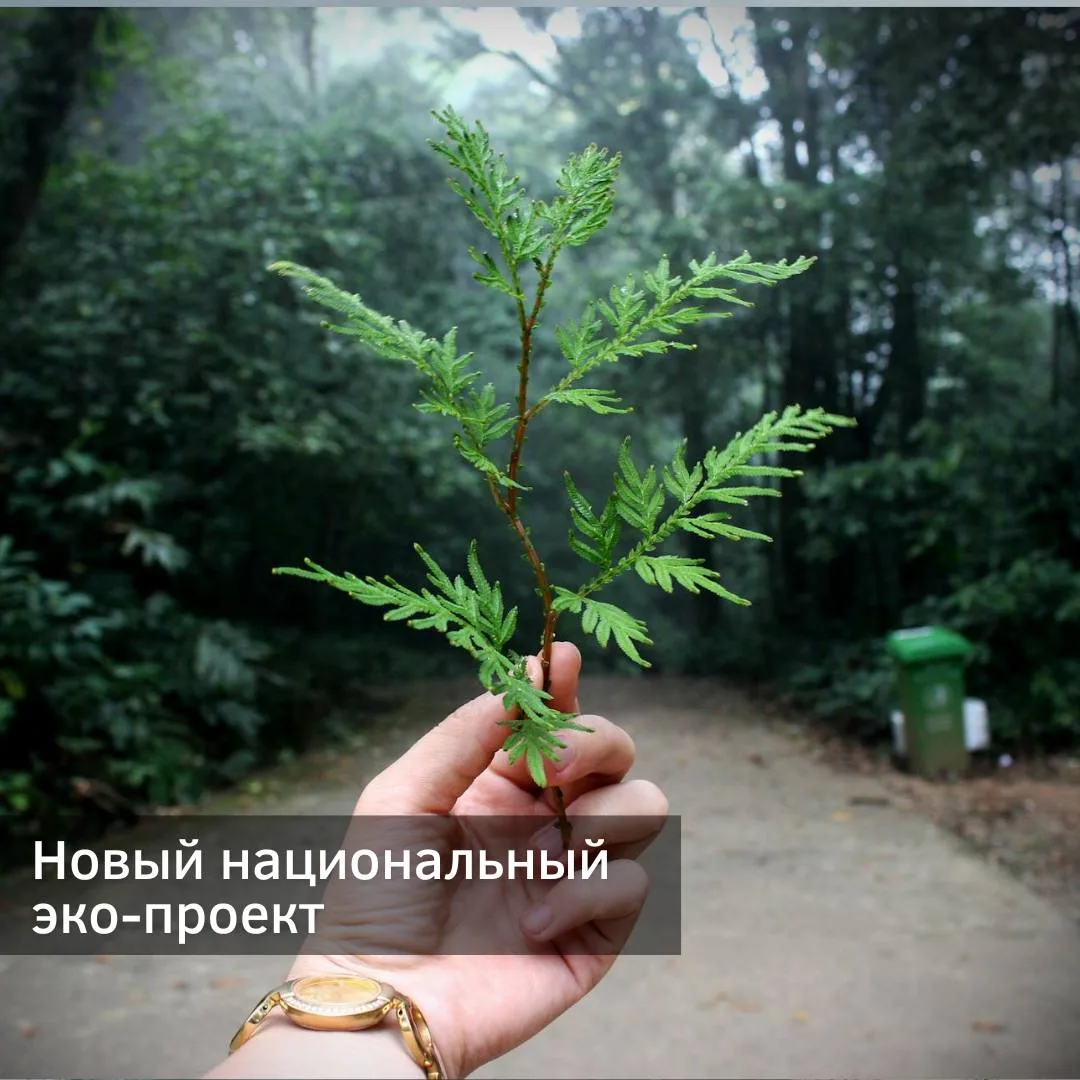 СтудЭКО Российского государственного университета правосудия им.В.М. Лебедева (ВСФ) — канал в мессенджере MAX