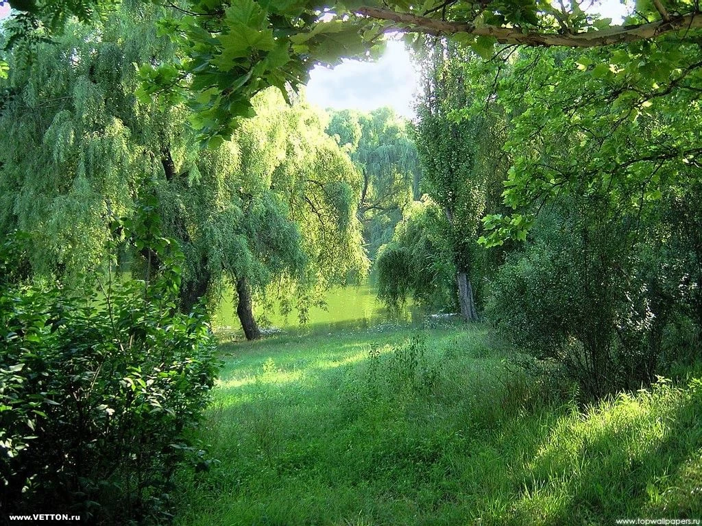 Управление лесами Орловской области