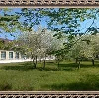 МКОУ "Курмановская СОШ"