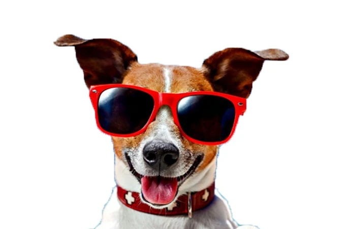 Смешные Анекдоты