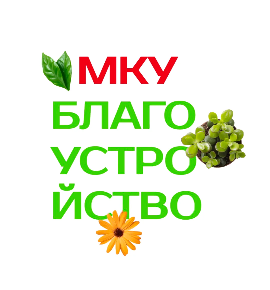 МКУ "БЛАГОУСТРОЙСТВО"