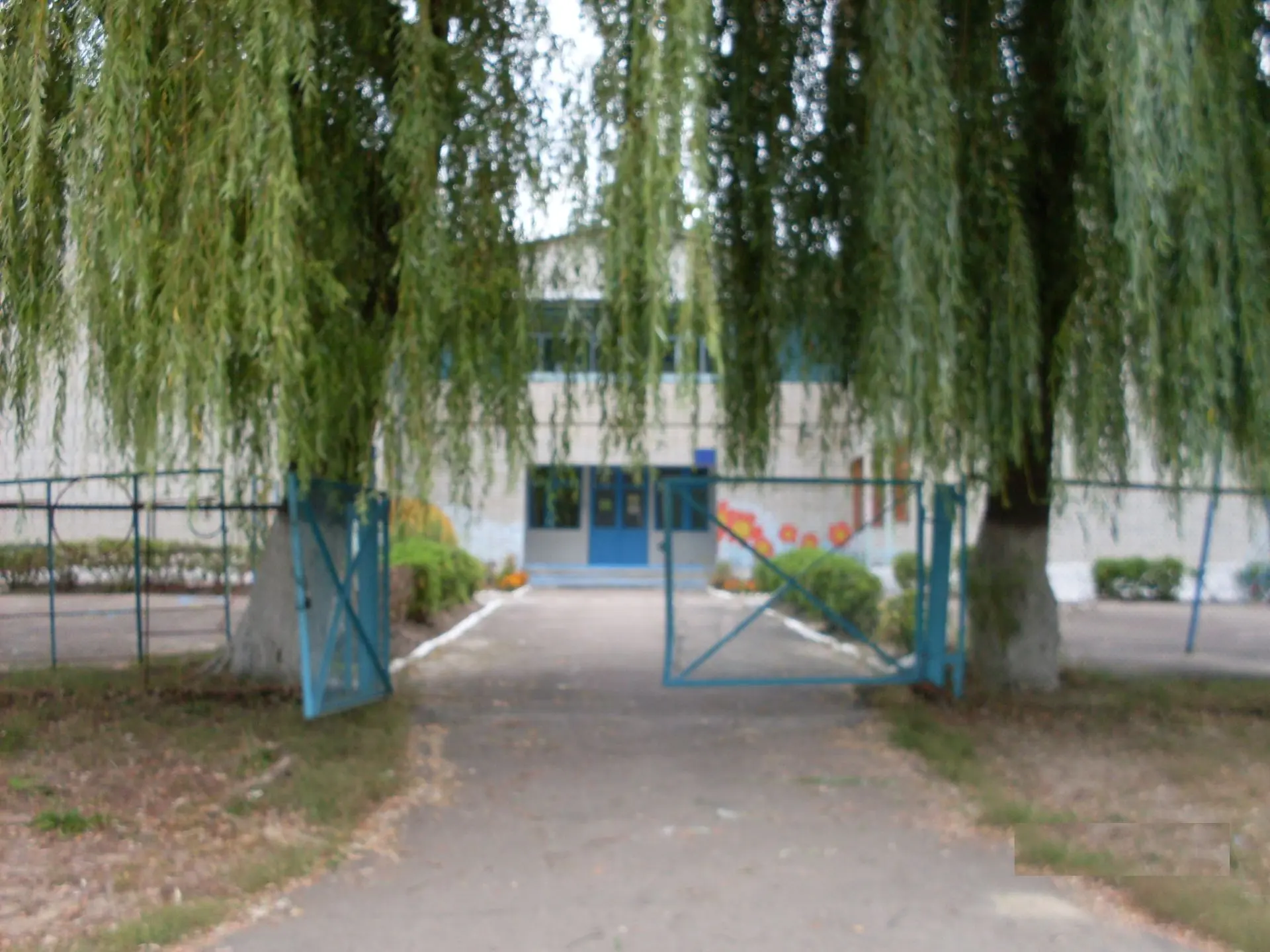 МБДОУ "Детский сад № 6 г. Новозыбкова"