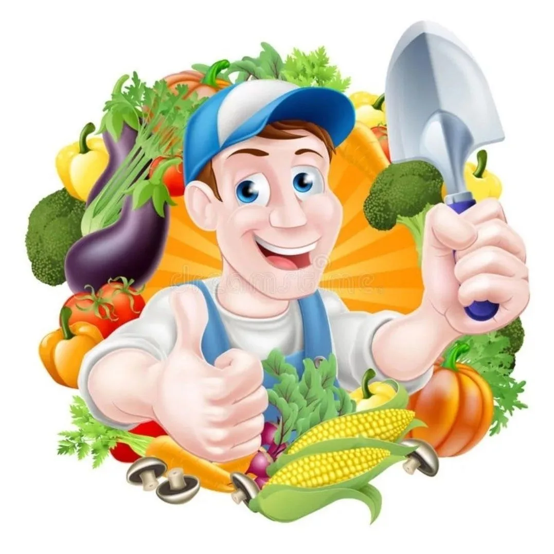 МОЯ ДАЧА САД ОГОРОД ПОЛЕЗНЫЕ СОВЕТЫ