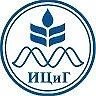 ИЦиГ СО РАН — канал в мессенджере MAX