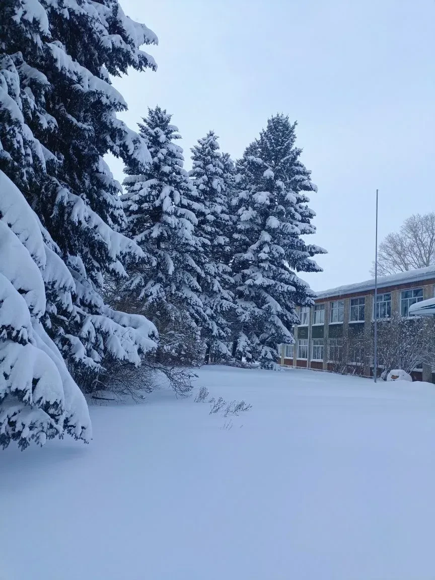 Логотип канала