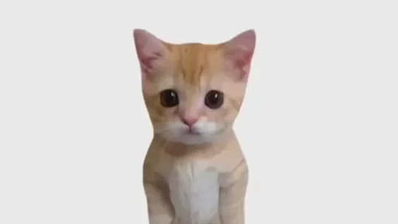 котятя объясняют — канал в мессенджере MAX