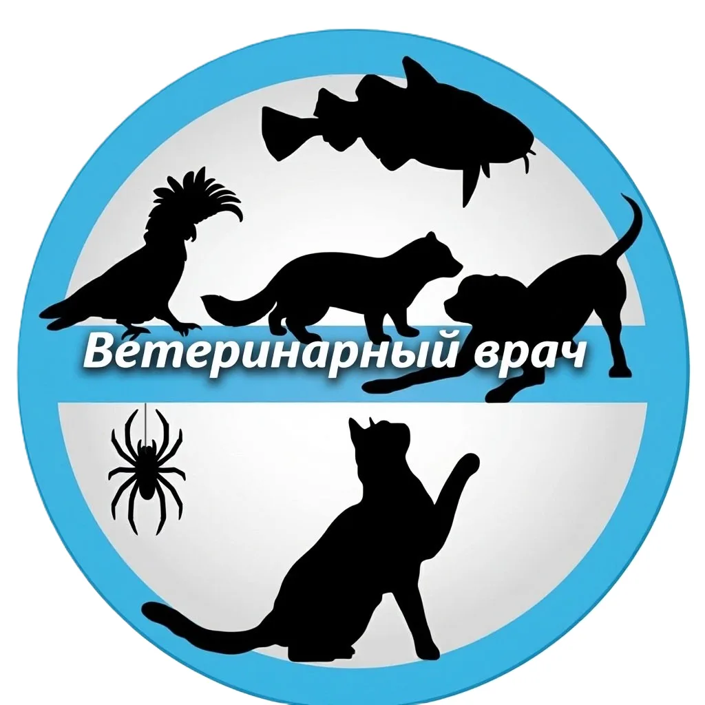 Ветеринар Джанкой VetKit — канал в мессенджере MAX