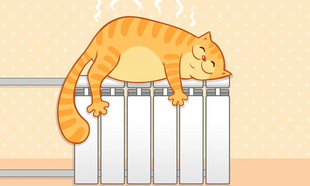 Логотип канала