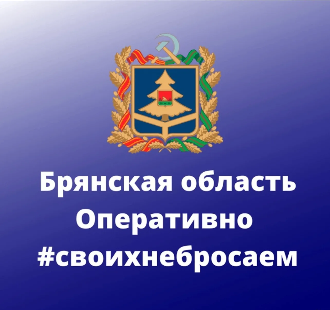 Брянская область. Оперативно — канал в мессенджере MAX