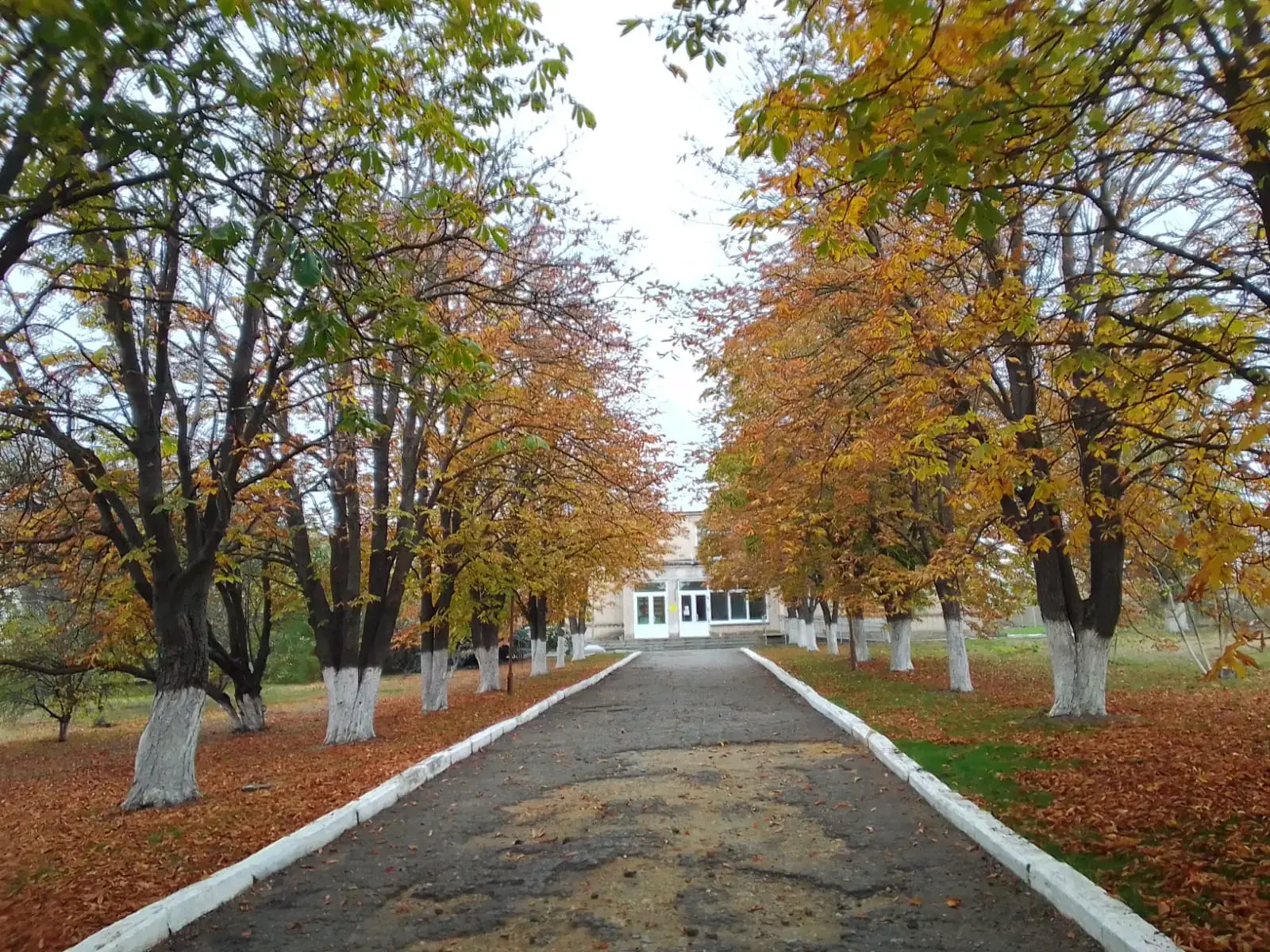 МБОУ Приютинская СОШ