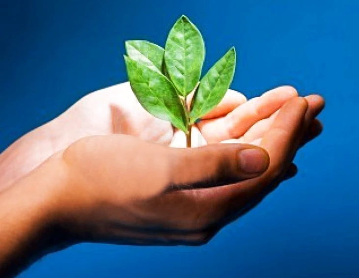 МБУ "ППМС центр" города Кузнецка