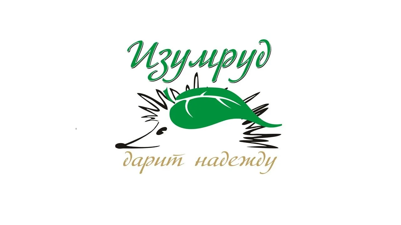 ГАУСО СО "КЦСОН "Изумруд" города Кировграда"